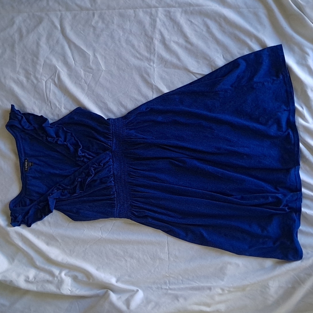 Express A-line vintage Dress in size Small/Petite